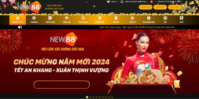 Các Loại Hình Cá Cược Nhà Cái New88 Cung Cấp 1 Giới thiệu về nhà cái New88